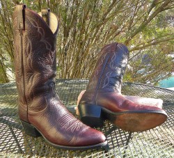 Dan Post El Paso Leather 12" Western Boots Cherry Full grain Cowboy Mens 8D