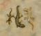 Vintage LOT of 3 GECKO LIZARD Pins Brooches--Nice Southwestern costume jewelry