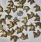 Quantity 10 –Bronze EAGLE HEAD 18mm X 21mm Charms or Pendants -Lots of detail -2mm Hole at top