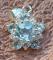 Sterling Silver 925 STAR Blue Topaz Pendant with CZ round stones (No chain)